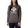 Columbia Sudadera con capucha y gráfico Columbia Trek para mujer Columbia Charcoal Heather/Stacked Gem DV66DP12309 gema apilada de brezo de carbón
